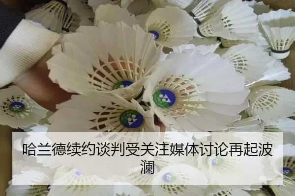 ha-lan-de-xu-yue-tan-pan-shou-guan-zhu-mei-ti-tao-lun-zai-qi-bo-lan-2-554.jpg